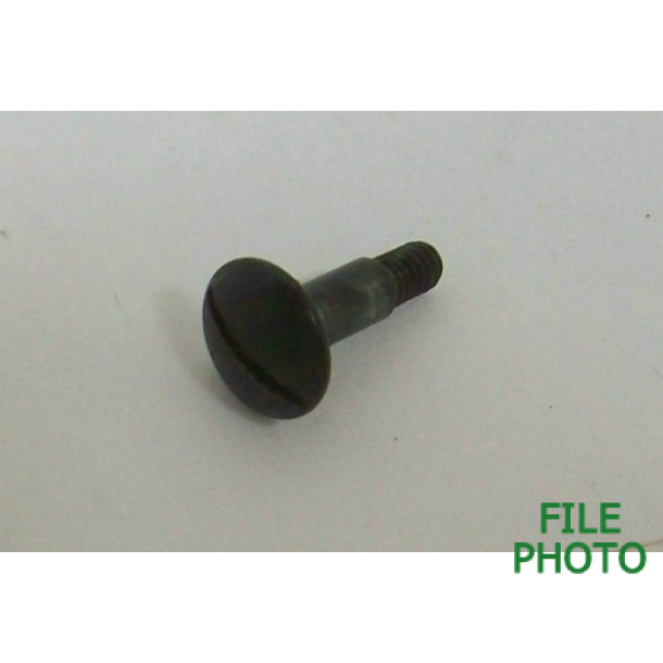 Takedown Screw - Front - Original