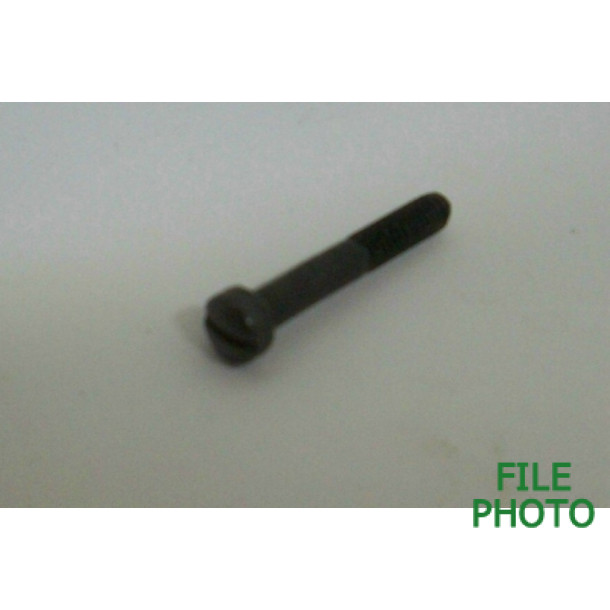 Takedown Screw - Rear - Straight Slot - Original