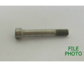 Grip Panel Screw - Stainless - Original