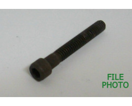 Barrel Retainer Screw - Blue - Original