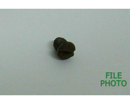 Cover Plate Screw - Original Cover Plate Screw - Original