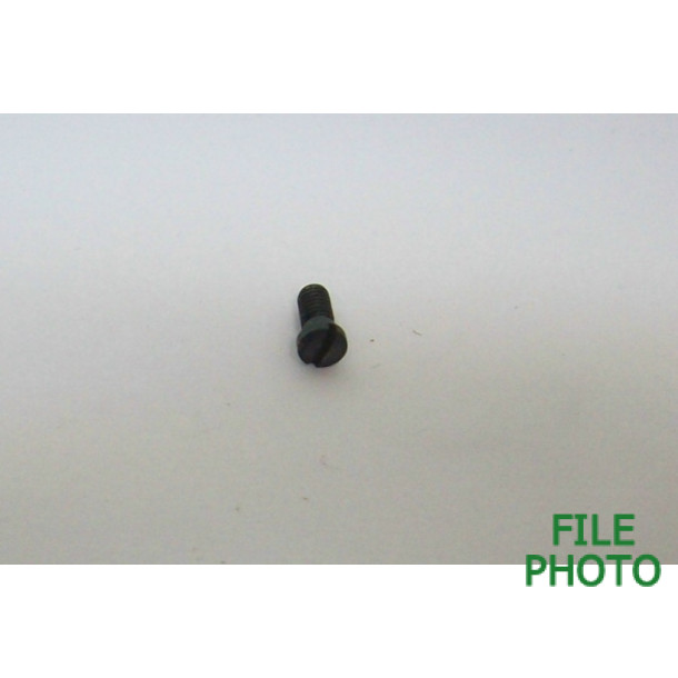 Grip Frame Screw - Front - Original