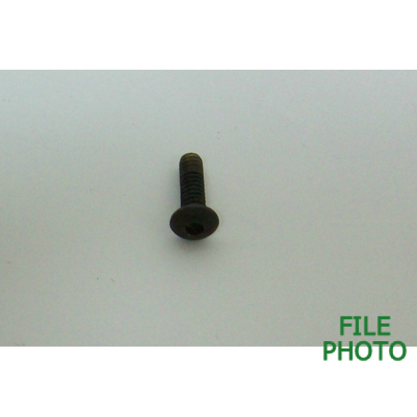 Takedown Screw - Front - Allen Hex Head - Original