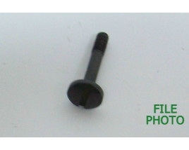 Takedown Screw - Original Takedown Screw - Original
