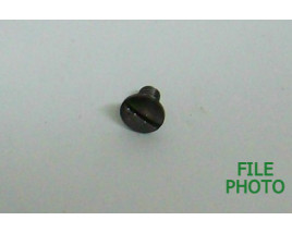 Slide Cover Stop Screw - Original