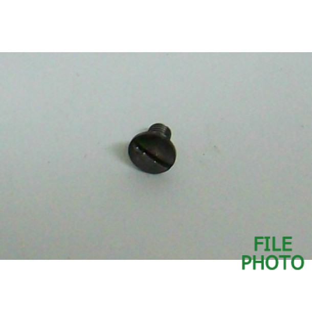 Slide Cover Stop Screw - Original