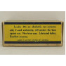 Winchester Leader Staynless Box of 22 Long Ammunition