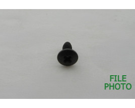 Cover Plate Screw - Original