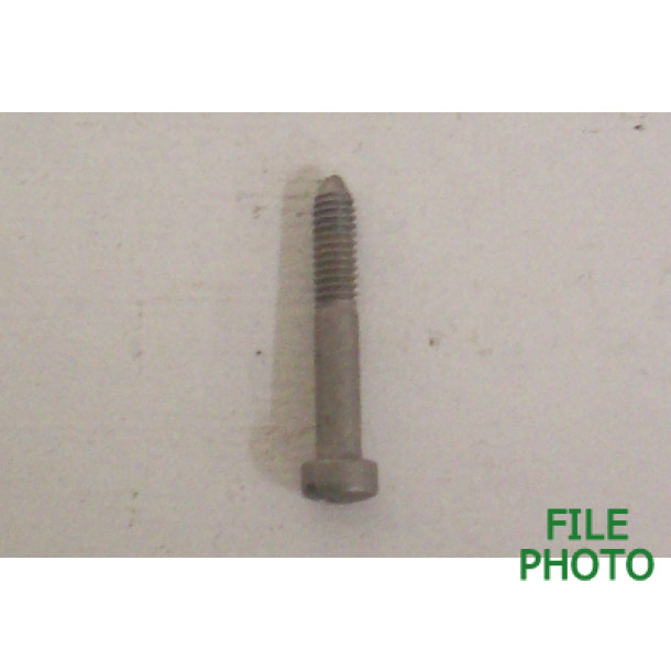 Takedown Screw - Rear - Matt Stainless Straight Slot - Original