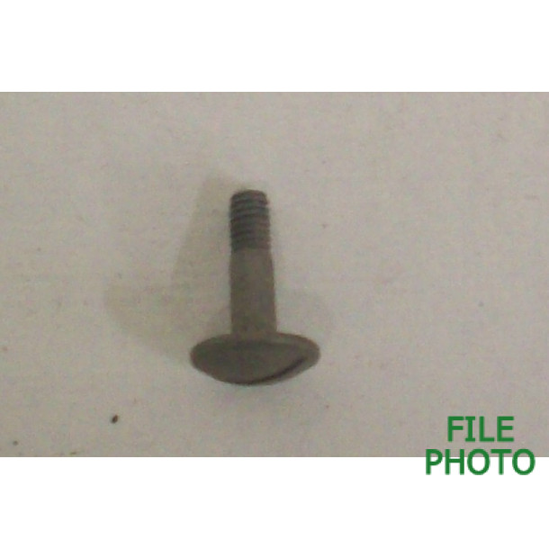 Takedown Screw - Front - Matt Stainless Original