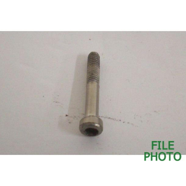 Takedown Screw - Rear - Allen Hex - Original