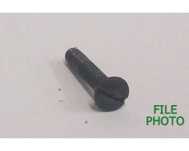 Trigger Guard Screw - Front - Original