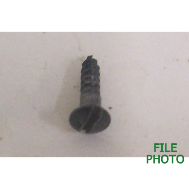 Magazine Guard Plate Screw - Original