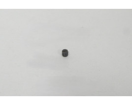 Receiver Dummy (Filler) Screw - Original