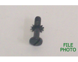 Trigger Housing Screw w/ Star Washer - Original