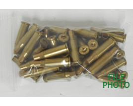 Unprimed 218 Bee Brass Casings by Winchester-Western