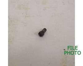Loading Gate Screw - Original