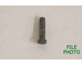 Bolt Release Latch Screw - Original