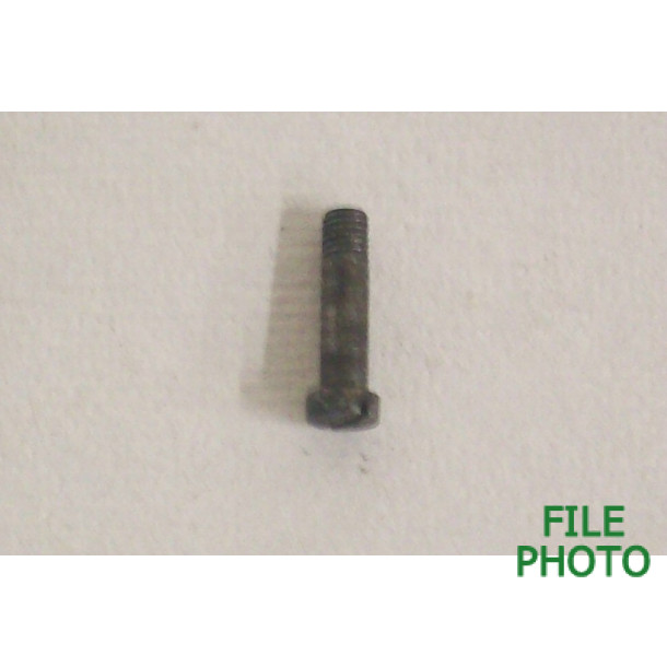 Bolt Release Latch Screw - Original