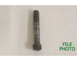 Guard Screw - Rear - Original