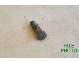 Guard Screw - Front - Original