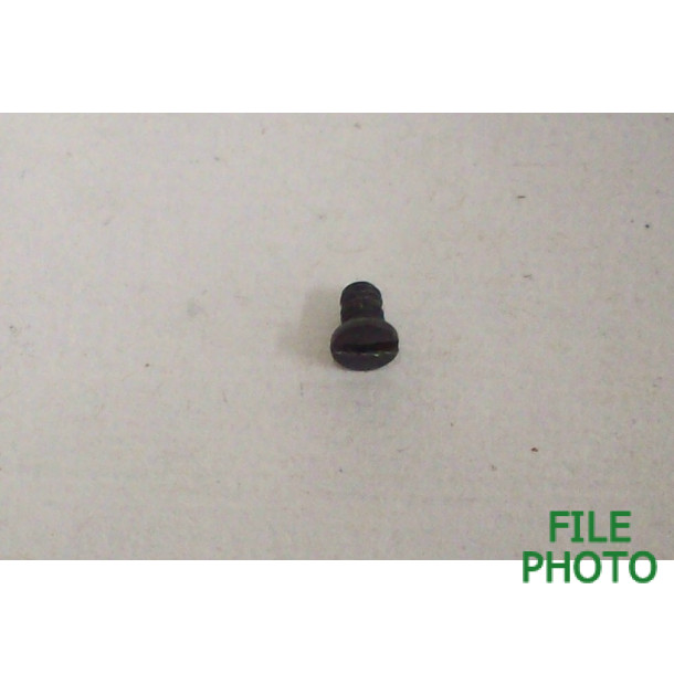 Cartridge Guide Spring Screw - Original