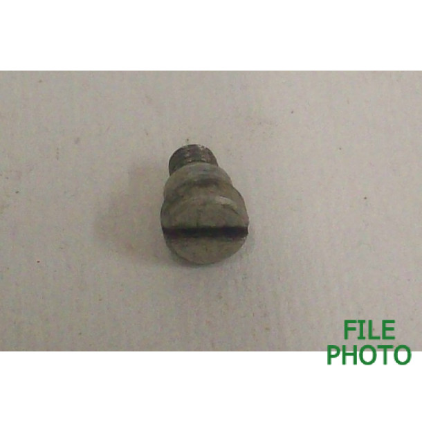 Safety Screw - Silver Finished - Original Safety Screw - Silver Finished - Original