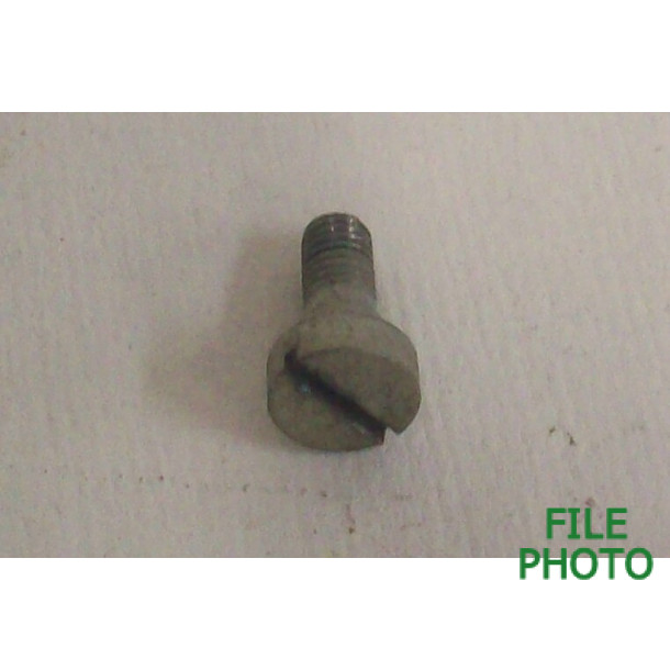 Trigger Pull Adjusting Bracket Screw - Silver Finished - Original