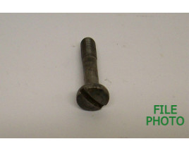 Takedown Screw - Original Takedown Screw - Original