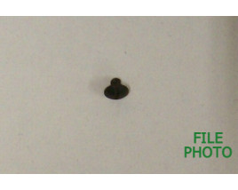 Safety Retaining Screw - Original