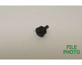 Locating Hole Plug Screw - Rear - Original