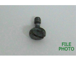 Takedown Screw - Original Takedown Screw - Original