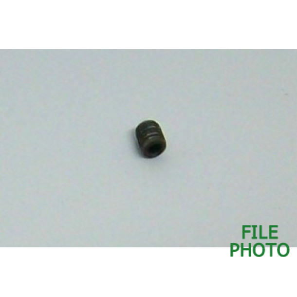 Guide Rail Retaining Screw - Original