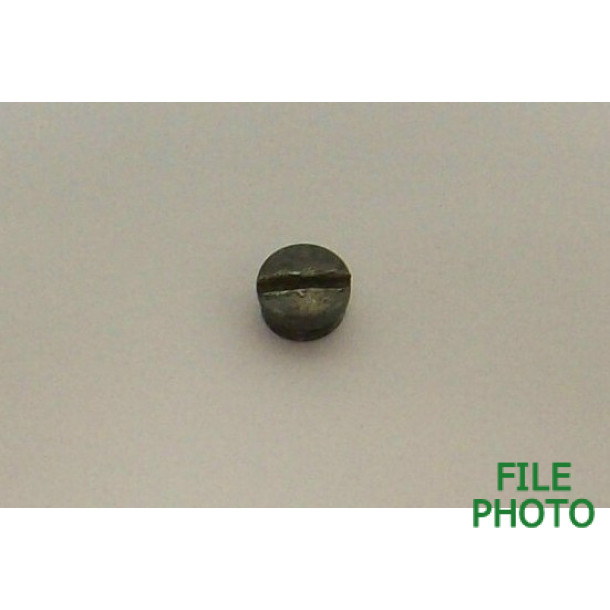 Locating Hole Plug Screw - Original