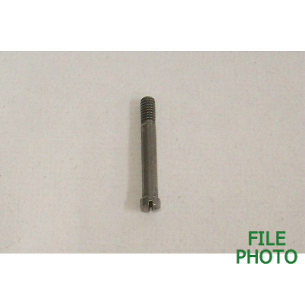 Grip Panel Screw - Stainless - Original