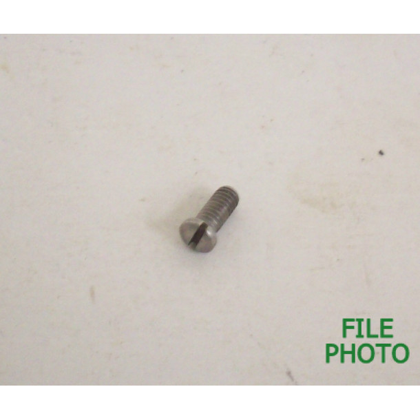 Grip Frame Screw - Front - Stainless - Original