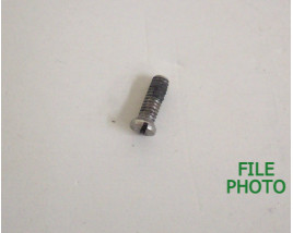 Grip Frame Screw - Rear - Stainless - Original