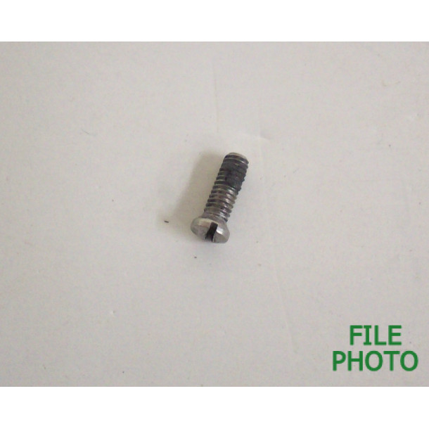 Grip Frame Screw - Rear - Stainless - Original