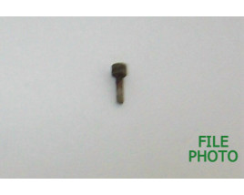 Gate Detent Plunger - Original