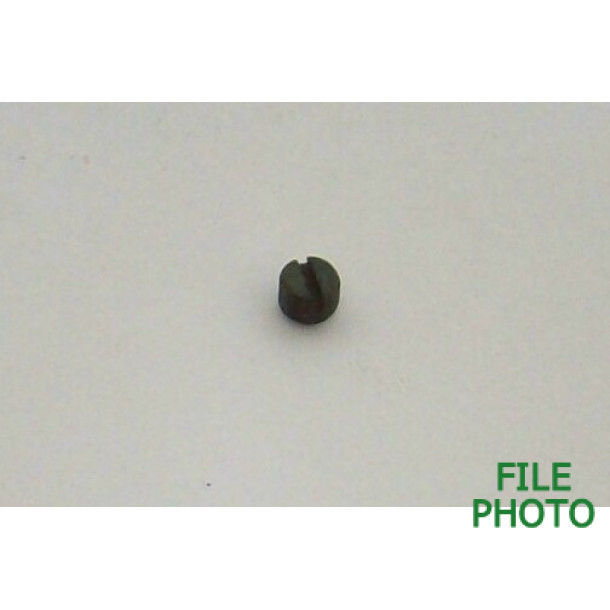 Gate Retaining Screw - Original