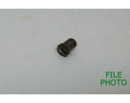 Lifter Housing Screw - Original