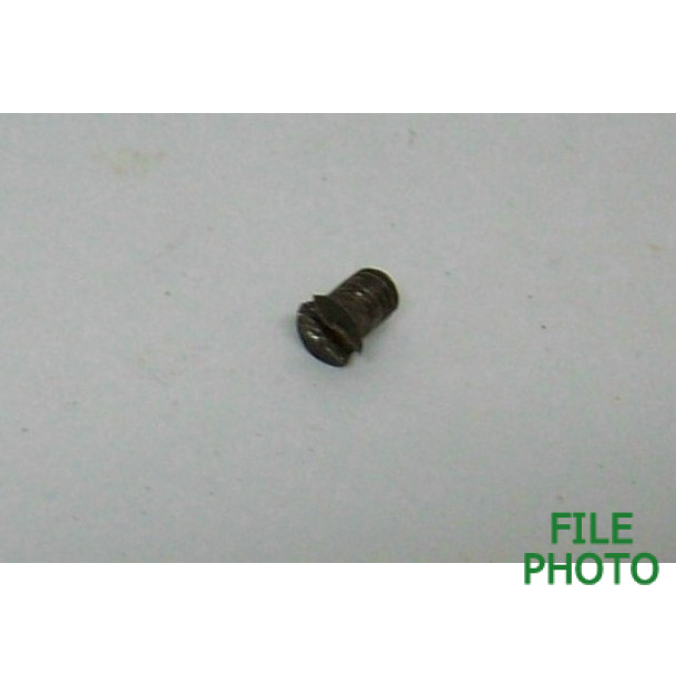 Lifter Housing Screw - Original