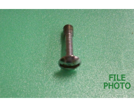 Takedown Screw - Chrome - Original Takedown Screw - Chrome - Original