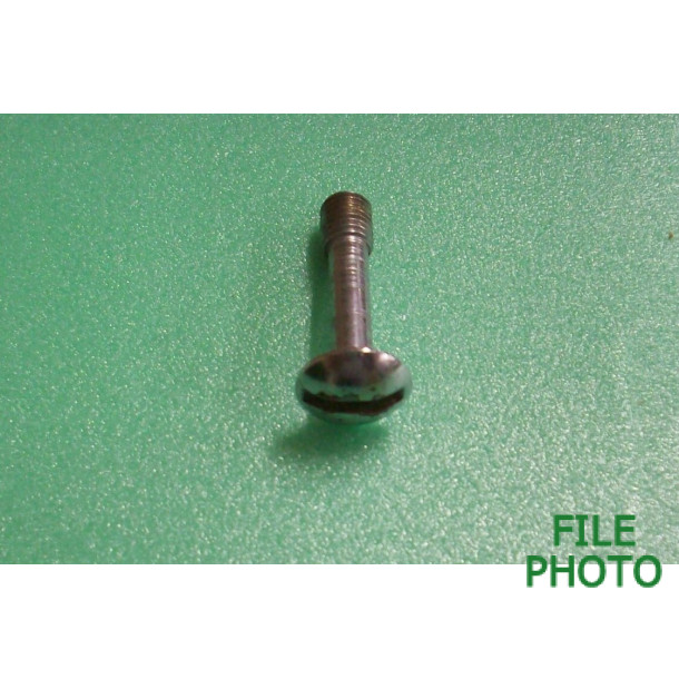 Takedown Screw - Chrome - Original