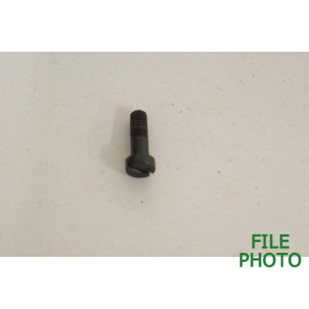 Receiver Extension Plate Screw - Original