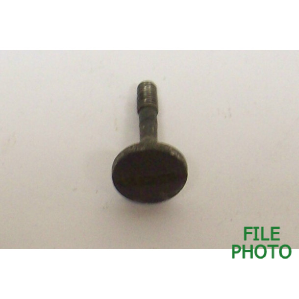Takedown Screw - Original Takedown Screw - Original