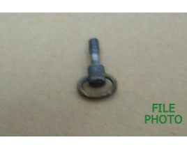 Takedown Screw - Early Variation -  Original