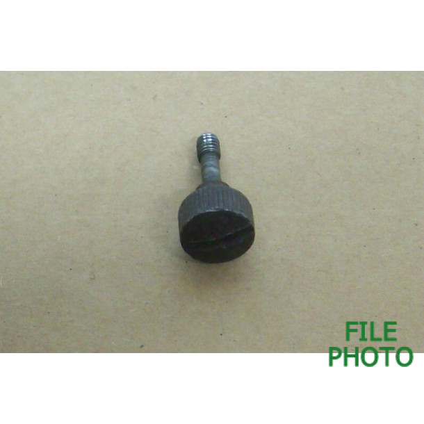 Takedown Screw - Original