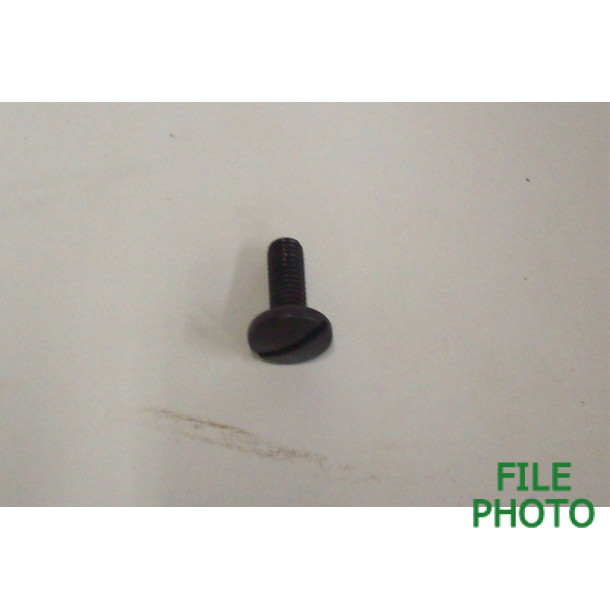 Barrel Hinge / Pivot Pin Retaining Screw - Blue - Original