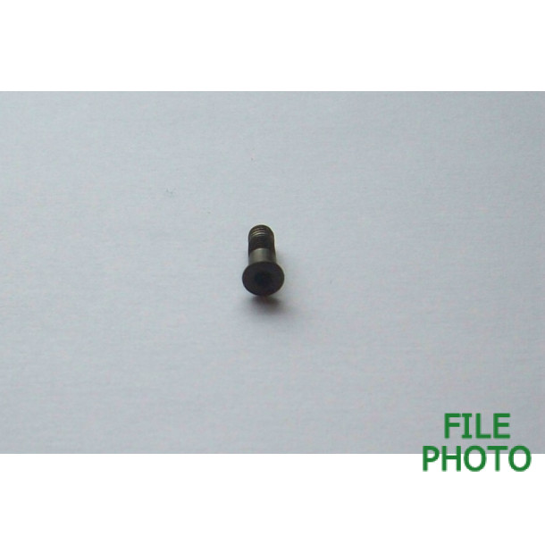 Rib Screw - Rear - Allen Hex - aka Ramrod Retaining Spring Screw - Original